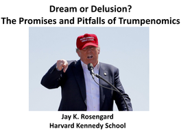 Dream Or Delusion? the Promises and Pitfalls of Trumpenomics