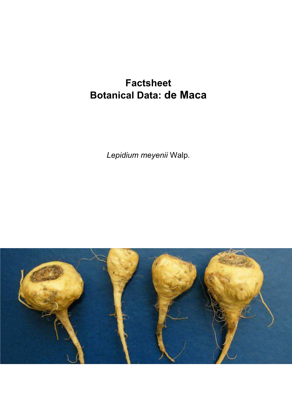 Factsheet Botanical Data: De Maca