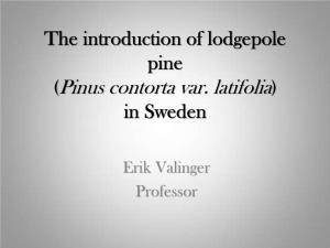 The Introduction of Lodgepole Pine (Pinus Contorta) in Sweden“