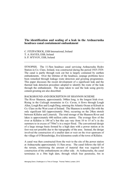 The Identification and Sealing of a Leak in the Ardnacrusha Headrace Canal Containment Embankment