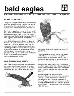 Bald Eagles Chippewa National Forest “Celebrating 100 Years” 1908-2008