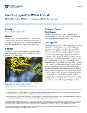 Gleditsia Aquatica, Water Locust1 Michael G