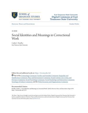 Social Identities and Meanings in Correctional Work Caitlin C