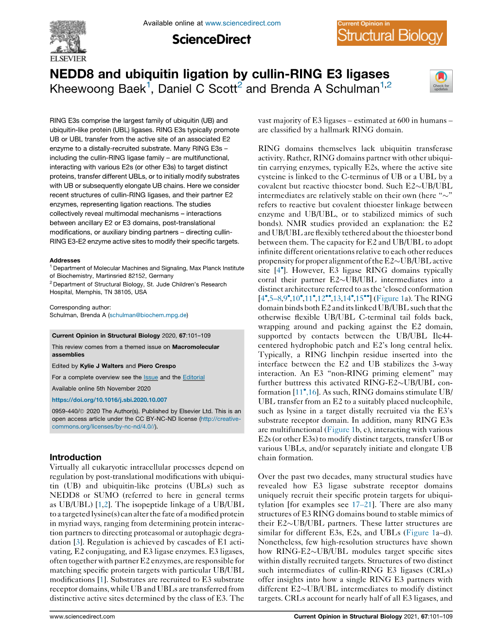 NEDD8 and Ubiquitin Ligation by Cullin-RING E3 Ligases