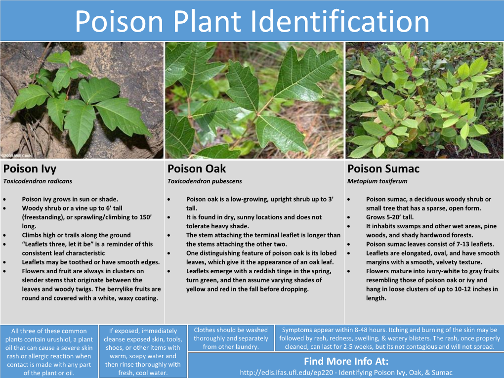 Poison Plant Identification