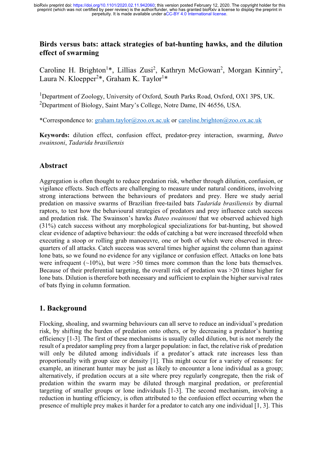 Birds Versus Bats: Attack Strategies of Bat-Hunting Hawks, and the Dilution Effect of Swarming