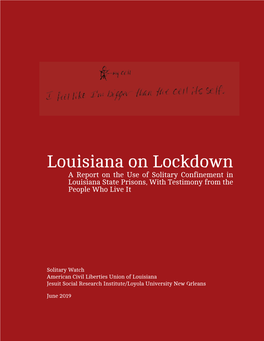 Louisiana on Lockdown a Report on the Use of Solitary Confinement in Louisiana State Prisons, with Testimony from the People Who Live It