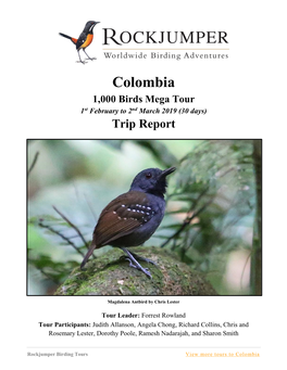 Colombia 1,000 Birds Mega Tour 1St February to 2Nd March 2019 (30 Days) Trip Report