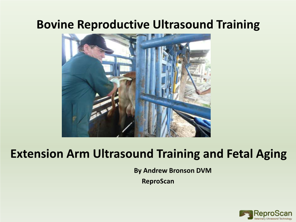 Bovine Reproductive Ultrasound Training Extension Arm Ultrasound