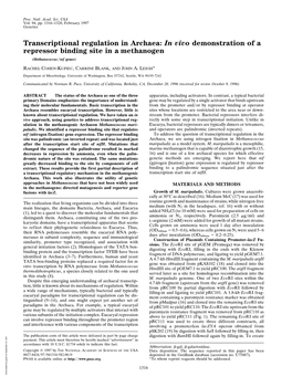 Transcriptional Regulation in Archaea: in Vivo Demonstration of a Repressor Binding Site in a Methanogen (Methanococcus͞nif Genes)