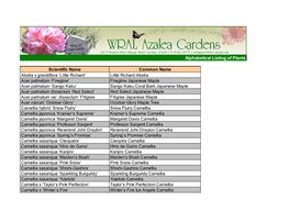 Alphabetical Listing of Plants in WRAL Azalea Gardens