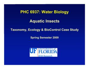 PHC 6937: Water Biology Aquatic Insects