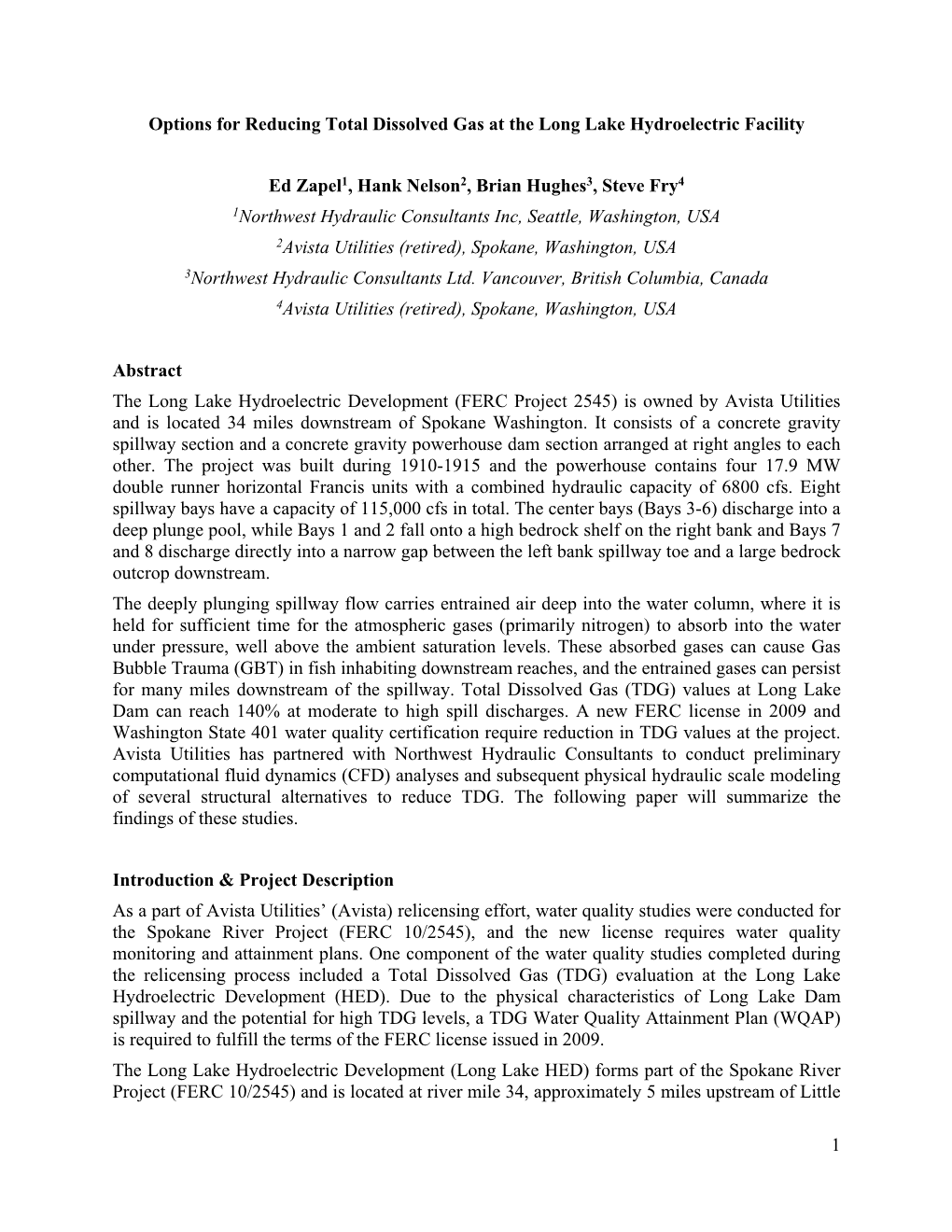 Options for Reducing Total Dissolved Gas at the Long Lake Hydroelectric Facility