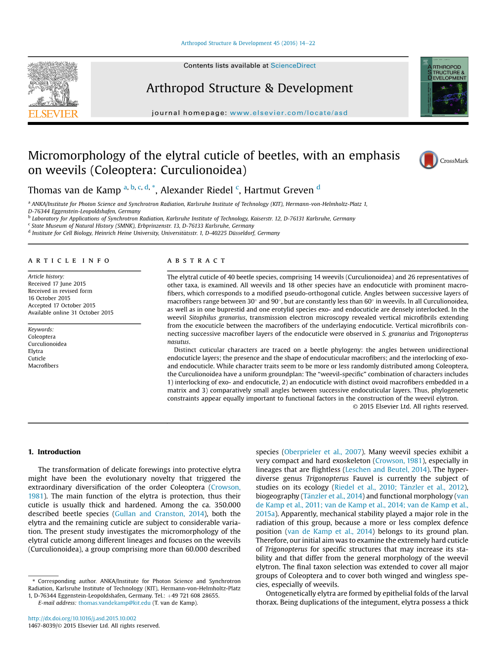 Micromorphology of the Elytral Cuticle of Beetles, with an Emphasis on Weevils (Coleoptera: Curculionoidea)