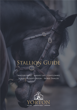 Stallion Guide