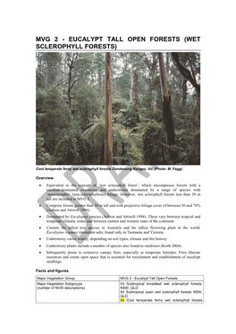 MVG02 Eucalypt Tall Open Forest DRAFT