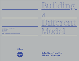 Building a Different Model: Selections from the Di Rosa Collection Is Curated by Dan Nadel