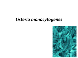 Listeria Monocytogenes