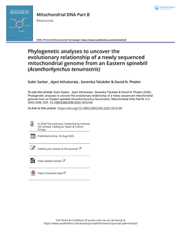 Phylogenetic Analyses to Uncover the Evolutionary Relationship of a Newly Sequenced Mitochondrial Genome from an Eastern Spinebill (Acanthorhynchus Tenuirostris)