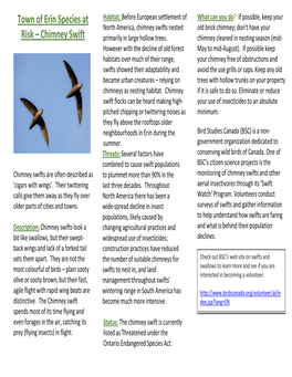 Town of Erin Species at Risk Chimney Swift