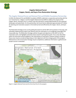 Angeles National Forest Copper, Ranch, and Sayre Fires Restoration Strategy