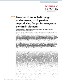 Isolation of Endophytic Fungi and Screening of Huperzine A–Producing Fungus from Huperzia Serrata in Vietnam