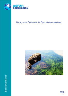 Background Document for Cymodocea Meadows