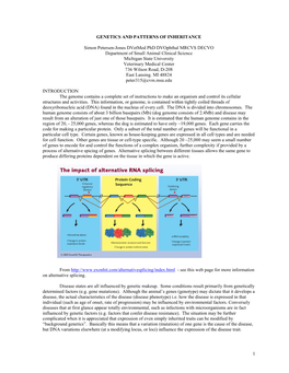 1 GENETICS and PATTERNS of INHERITANCE Simon Petersen