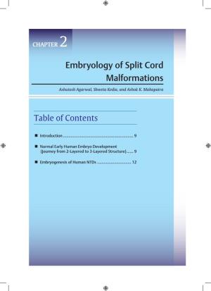 Embryology of Split Cord Malformations