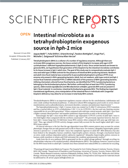 Intestinal Microbiota As a Tetrahydrobiopterin Exogenous