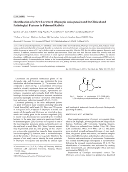 Identification of a New Locoweed (Oxytropis Serioopetala) and Its Clinical and Pathological Features in Poisoned Rabbits