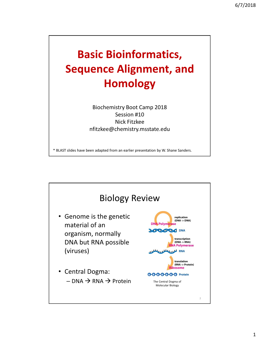Basic Bioinformatics, Sequence Alignment, and Homology