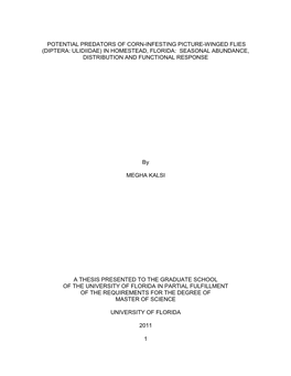 University of Florida Thesis Or Dissertation Formatting