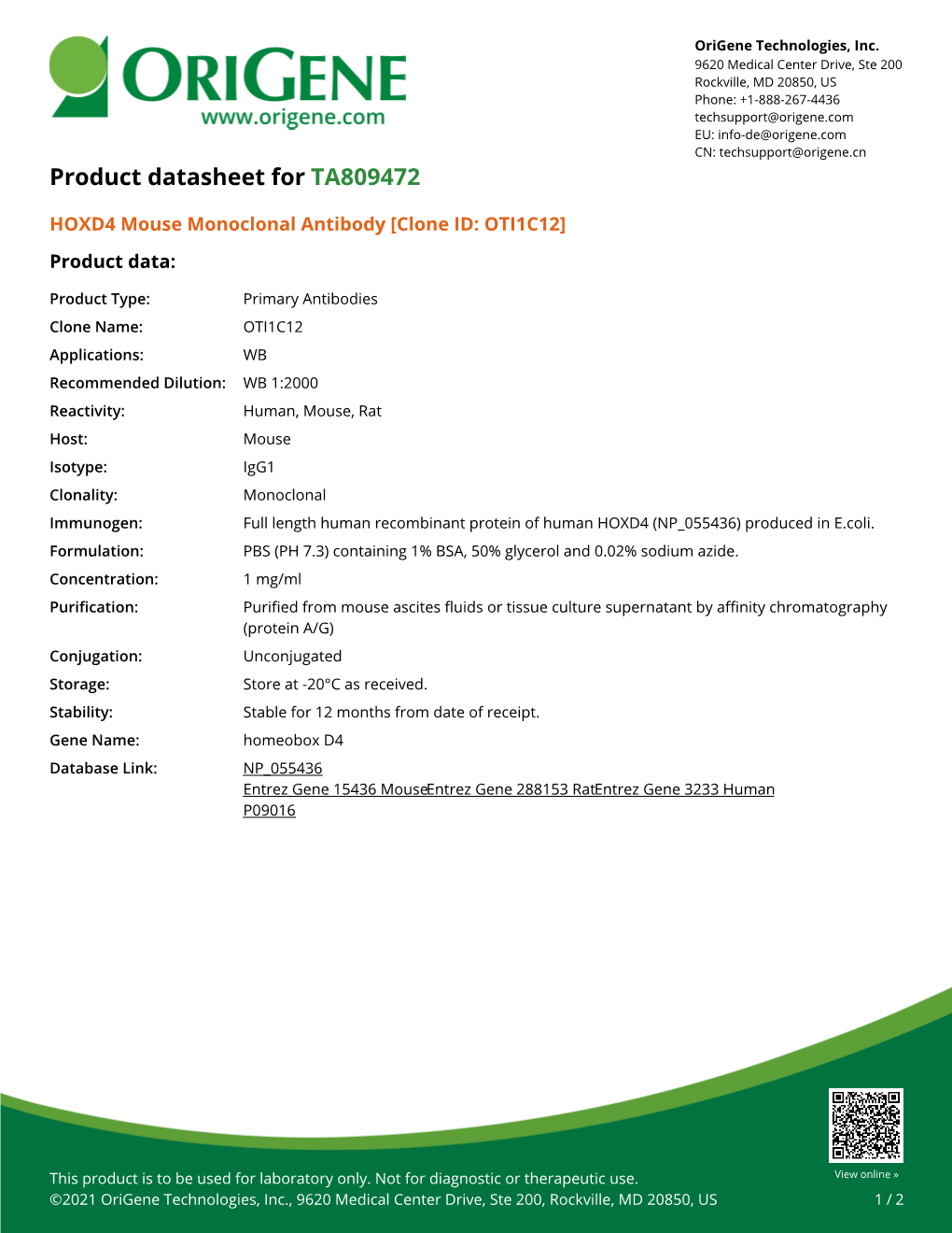 HOXD4 Mouse Monoclonal Antibody [Clone ID: OTI1C12] Product Data