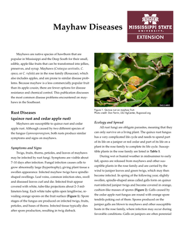 Mayhaw Diseases