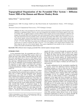 Topographical Organization of the Pyramidal Fiber System Diffusion Tensor MRI of the Human and Rhesus Monkey Brain