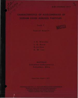 Characteristics of Agglomerates of Sodium Oxide Aerosol Particles