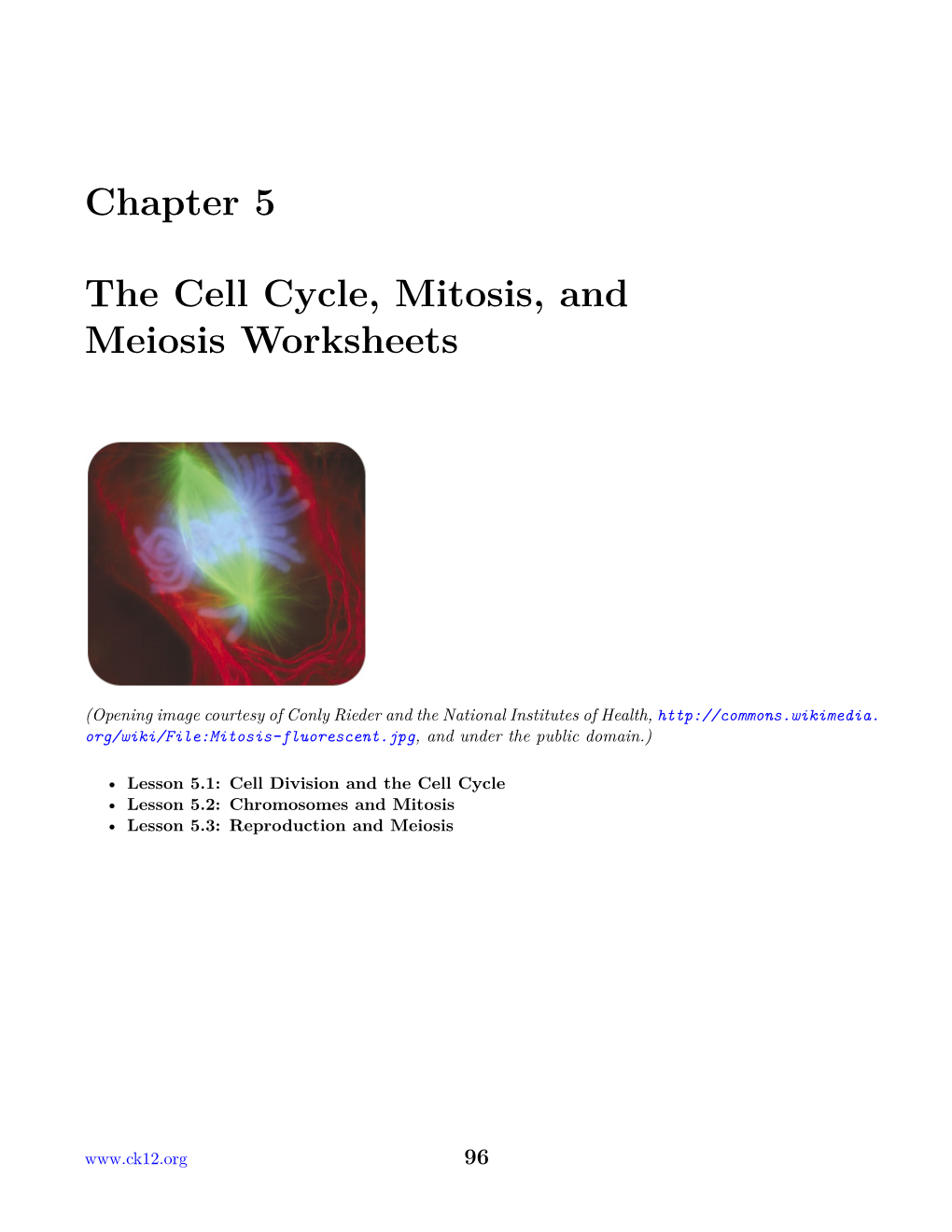 Chapter 5 The Cell Cycle Mitosis And Meiosis Worksheets Docslib