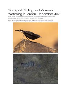 Trip Report: Birding and Mammal Watching in Jordan, December 2018