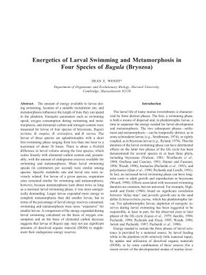 Energetics of Larval Swimming and Metamorphosis in Four Species of Bugula (Bryozoa)