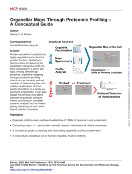 Organellar Maps Through Proteomic Profiling – a Conceptual Guide