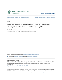 Molecular Genetic Studies of Hematodinium Sp., a Parasitic Dinoflagellate of the Blue Crab, Callinectes Sapidus