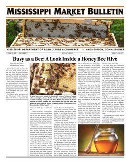 Busy As a Bee: a Look Inside a Honey Bee Hive by Keri Collins Lewis Her Life Inside the Hive Laying Eggs