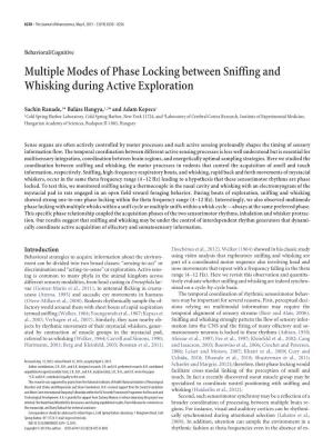 Multiple Modes of Phase Locking Between Sniffing and Whisking During Active Exploration