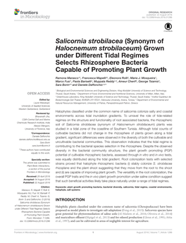 Salicornia Strobilacea (Synonym of Halocnemum Strobilaceum) Grown Under Different Tidal Regimes Selects Rhizosphere Bacteria Capable of Promoting Plant Growth