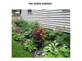 The Shade Garden