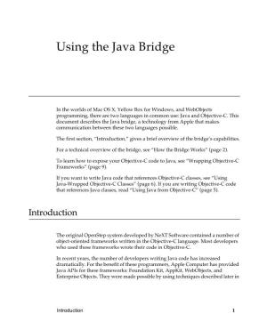 Using the Java Bridge
