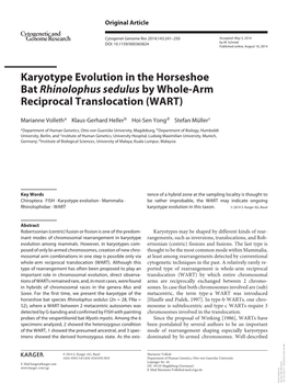 Karyotype Evolution in the Horseshoe Bat Rhinolophus Sedulus by Whole-Arm Reciprocal Translocation (WART)
