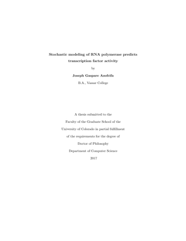 Stochastic Modeling of RNA Polymerase Predicts Transcription Factor Activity