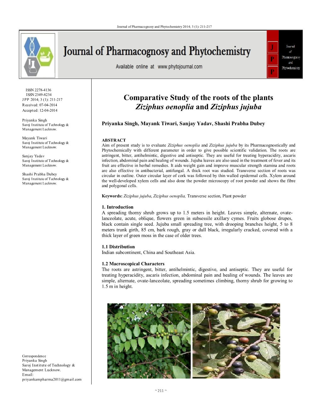 Comparative Study of the Roots of the Plants Ziziphus Oenoplia And